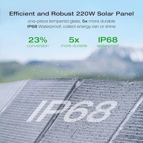 EF ECOFLOW Solar Generator DELTA 2 VIP Shopping