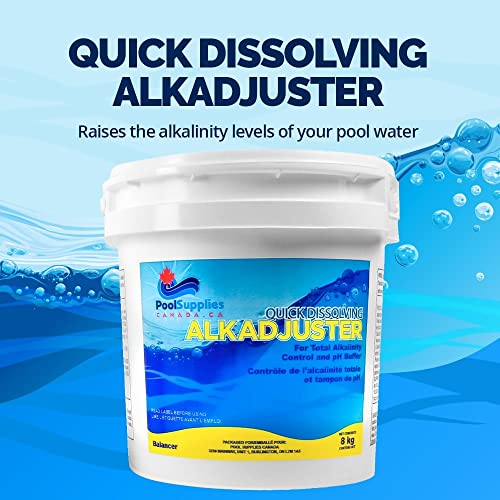 Alkajuster Pool Spa Balancer (8 Kg) - VIP Shopping
