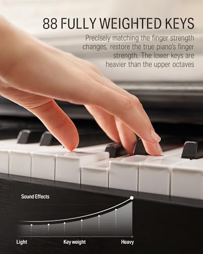 Donner DDP-100 88-Key Digital Piano Bundle, Black