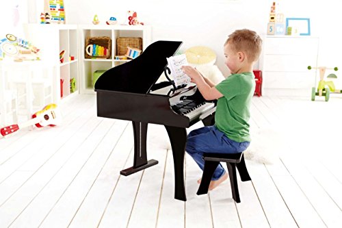 Hape Happy Grand Piano Toddler Musical Instrument VIP