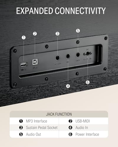 Donner DDP-100 88-Key Digital Piano Bundle, Black