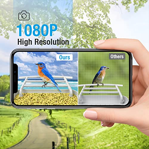 isYoung Smart Bird Feeder with Camera, AI Identify
