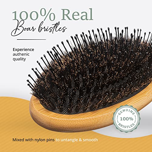 Belula Boar Bristle Hair Brush for Long Hair