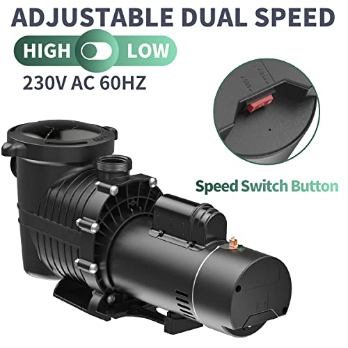 VIP Pool Pump for In/Above Ground Pools