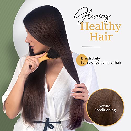 Belula Boar Bristle Hair Brush for Long Hair