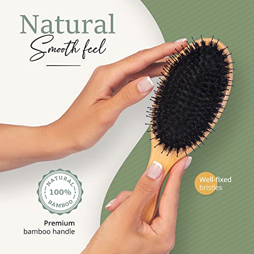 Belula Boar Bristle Hair Brush for Long Hair