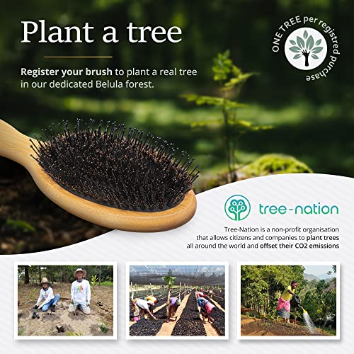 Belula Boar Bristle Hair Brush for Long Hair