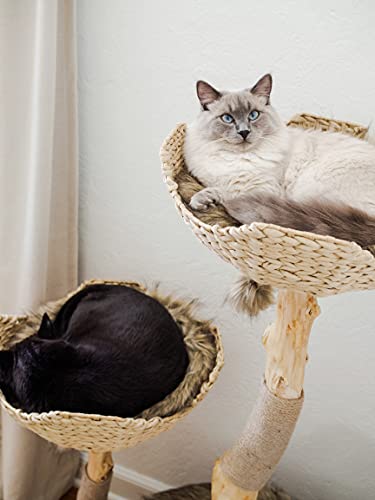 MAU Luxury Wood Cat Tower for Large Cats