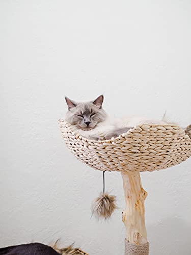 MAU Luxury Wood Cat Tower for Large Cats