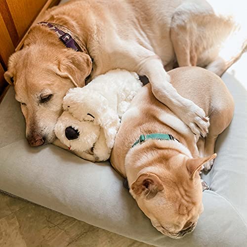 Gold Snuggle Puppy Heartbeat Toy for Dog Anxiety relief