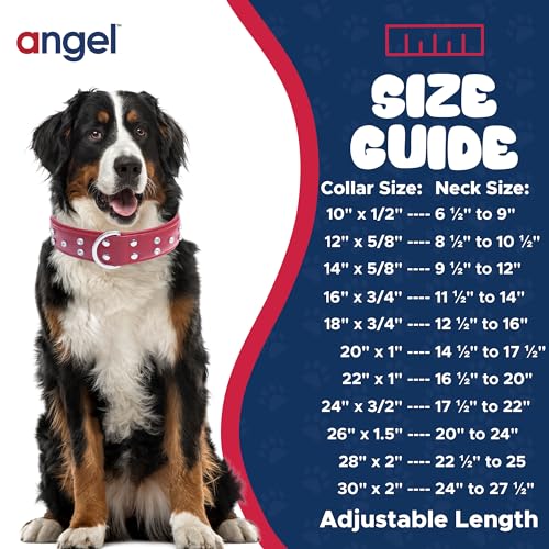 Stylish Red Rhinestone Leather Dog Collar | VIP Collection