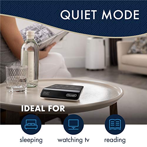 De'Longhi VIP Portable Air Conditioner 14,000 BTU, Extra Quiet