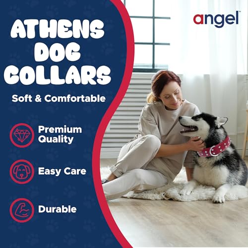 Stylish Red Rhinestone Leather Dog Collar | VIP Collection