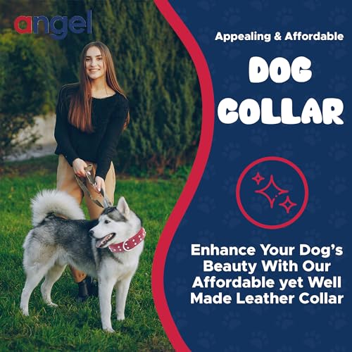 Stylish Red Rhinestone Leather Dog Collar | VIP Collection