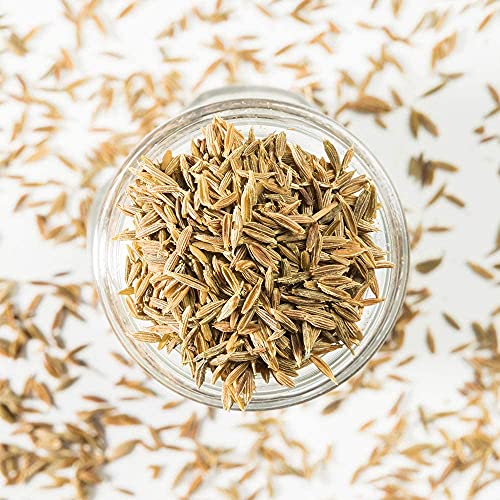 McCormick Gourmet Premium Quality Fennel Seed 32g VIP