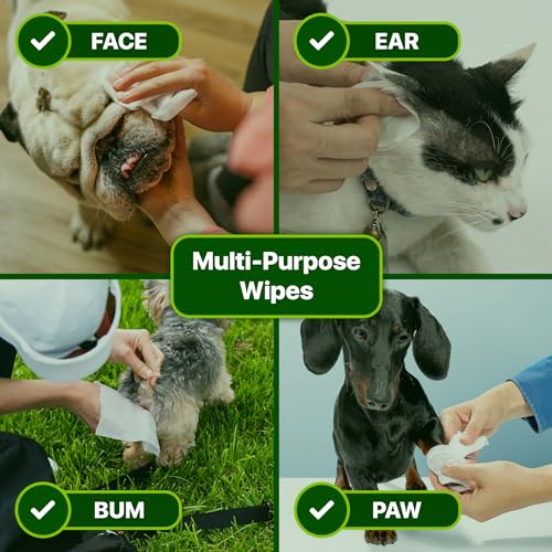 Plant-Based Green Paws Orchid Scented Grooming Wipes (400 Count)