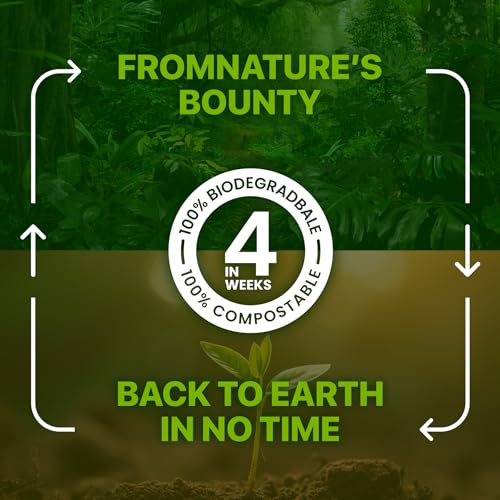 Plant-Based Green Paws Orchid Scented Grooming Wipes (400 Count)