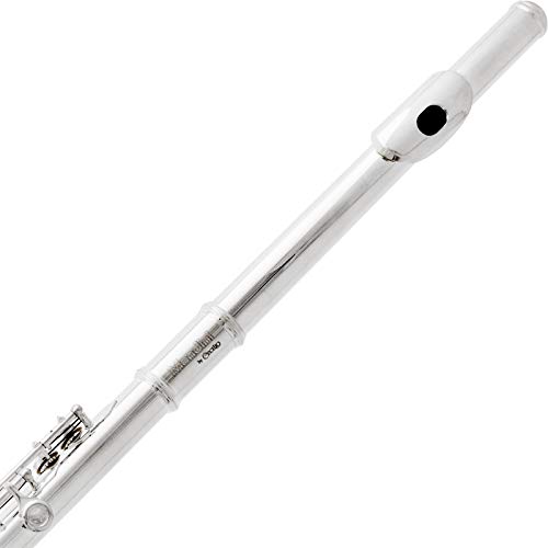 Cecilio Flute Bundle for Beginner Musicians VIP Shopping