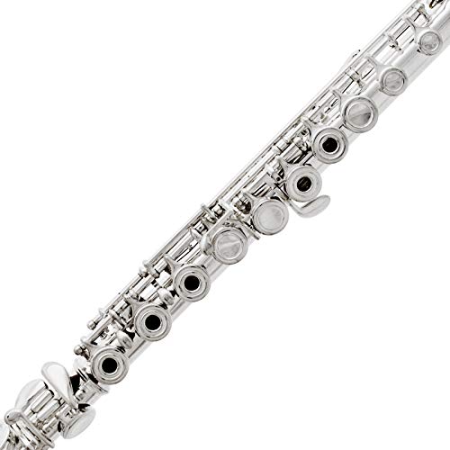 Cecilio Flute Bundle for Beginner Musicians VIP Shopping