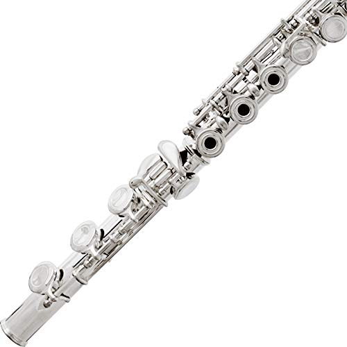 Cecilio Flute Bundle for Beginner Musicians VIP Shopping