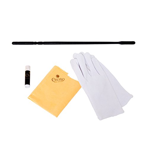 Cecilio Flute Bundle for Beginner Musicians VIP Shopping