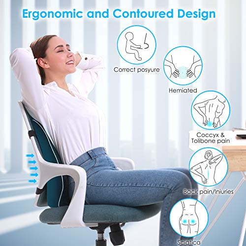 Ergonomic Lumbar Support Pillow for Office and Car
