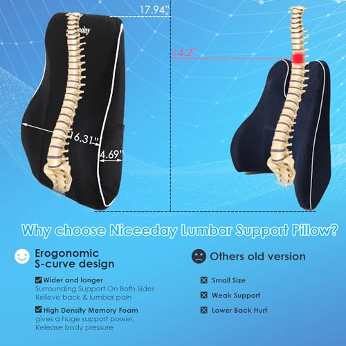 Ergonomic Lumbar Support Pillow for Office and Car