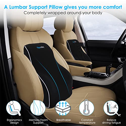 Ergonomic Lumbar Support Pillow for Office and Car