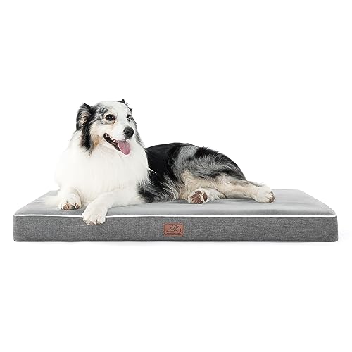 Orthopedic Large Dog Bed with Memory Foam (Light Grey)