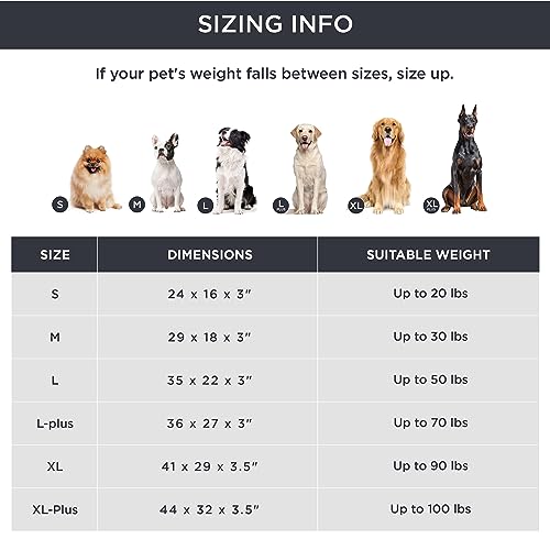 Orthopedic Large Dog Bed with Memory Foam (Light Grey)