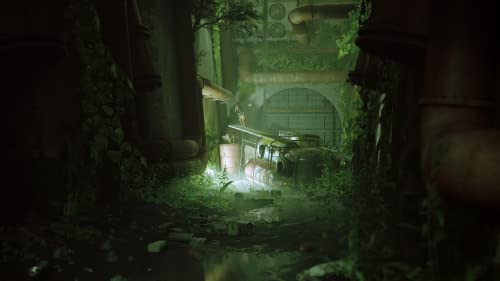 VIP: Stray for PlayStation 5