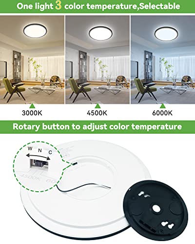 VIP Black LED Ceiling Lights, 3 Color Temperatures