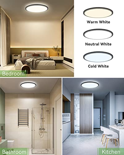 VIP Black LED Ceiling Lights, 3 Color Temperatures