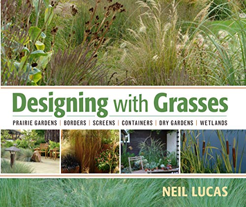 Grasses: A Stylish Design Choice for VIP Homes
