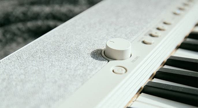 Casio 61-Key Portable Keyboard VIP Edition