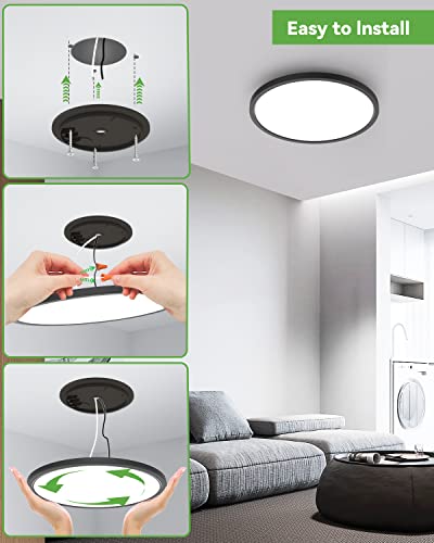 VIP Black LED Ceiling Lights, 3 Color Temperatures