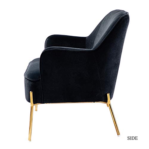 Black Velvet Loveseat Sofa with Golden Metal Legs