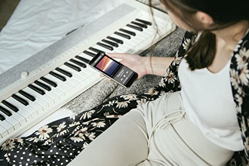 Casio 61-Key Portable Keyboard VIP Edition