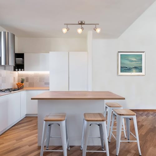 XiNBEi Lighting 3-Light Kitchen Ceiling Light VIP Spotlight