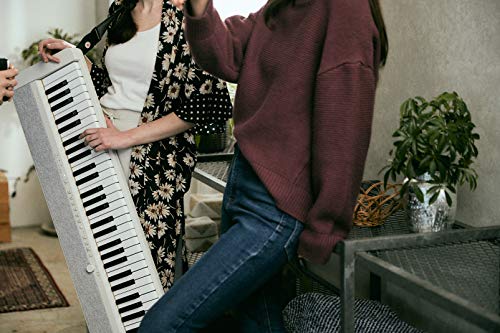 Casio 61-Key Portable Keyboard VIP Edition