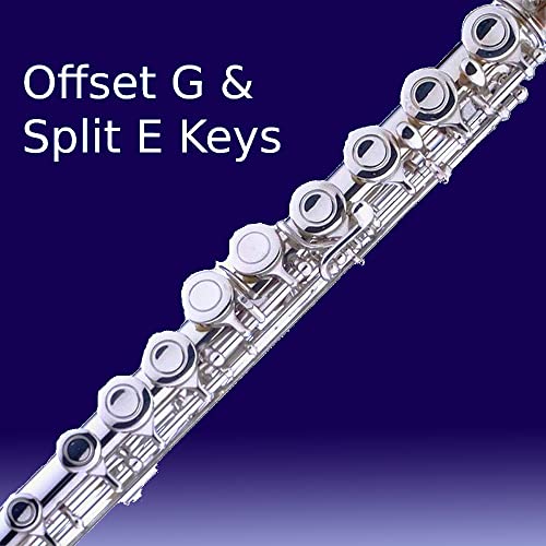 VIP Cecilio Open Hole C Flute - Perfect for Kids