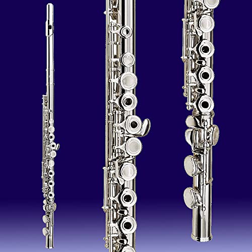 VIP Cecilio Open Hole C Flute - Perfect for Kids