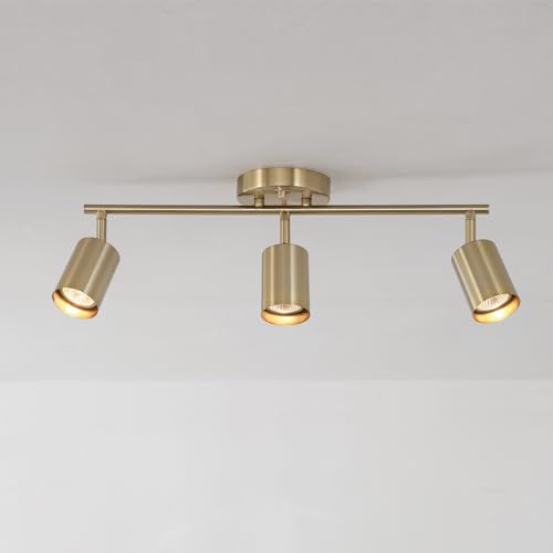 Elegant Pivoting 3-Light Track Lighting in Matte Brass