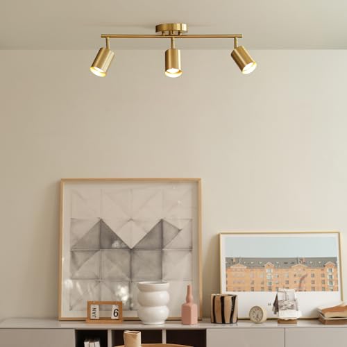 Elegant Pivoting 3-Light Track Lighting in Matte Brass