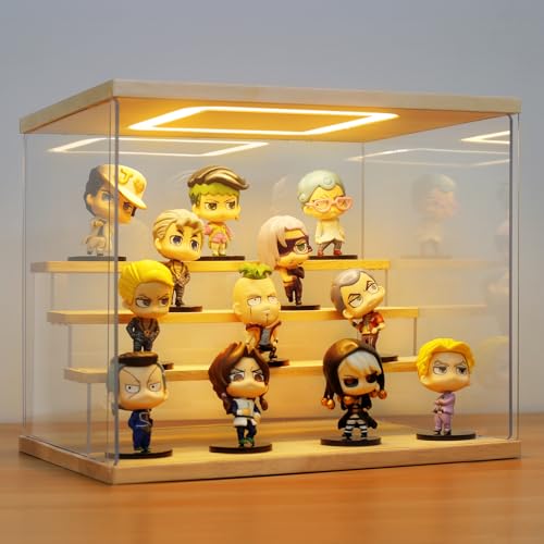 AZEYN Clear Acrylic Display Case with Light - VIP Shopping