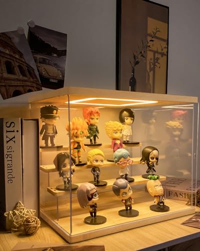 AZEYN Clear Acrylic Display Case with Light - VIP Shopping