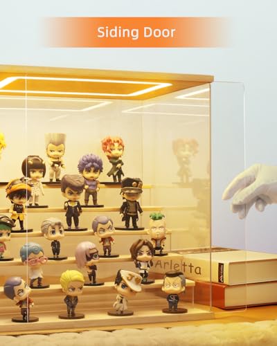 AZEYN Clear Acrylic Display Case with Light - VIP Shopping