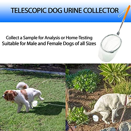 LIULANZ 55in Telescopic Pooper Scooper for Dogs VIP