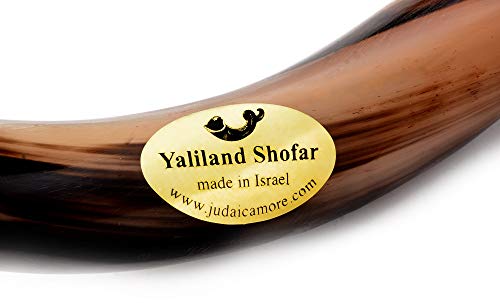 VIP Yaliland Shofar Horn Instrument Kit - Authentic