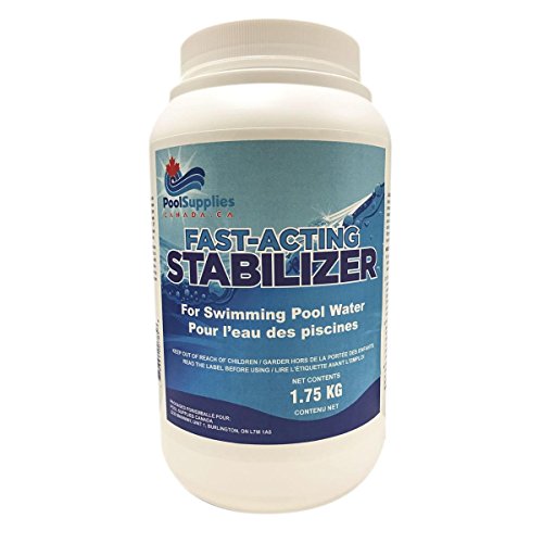 1.75 Kg Stabilizer for VIP Pool Spa Balancer